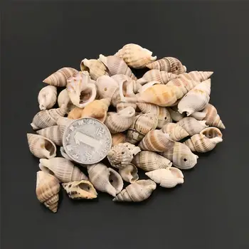 50Pcs Akvárium Dekoráció, Természetes Kagyló Spirál Kagyló Strand Shell Cowry Törzsi Ékszerek Készítése Kézműves Kiegészítők DIY Nagykereskedelmi