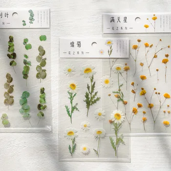 Természetes Daisy Lóhere Japán Szavak Matrica Átlátszó PET Anyag Virágok, Levelek Növények Deco Stickers Gyerek Ajándékot, Papíráru
